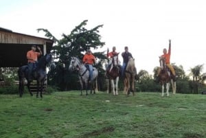 Santo Domingo: Horseback Riding - Round Trip Transportation