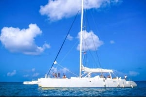 Excursão à ilha de Saona: Piscina natural e almoço - Aventura emocionante