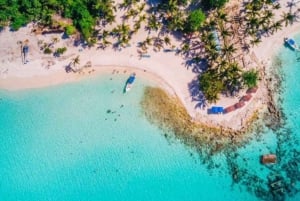 Excursão à ilha de Saona: Piscina natural e almoço - Aventura emocionante