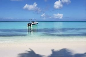Santo Domingo: Isla Saona Day Trip with Lunch & Catamaran