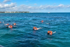 Santo Domingo: Isla Saona Day Trip with Lunch & Catamaran