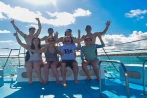 Santo Domingo: Isla Saona Day Trip with Lunch & Catamaran