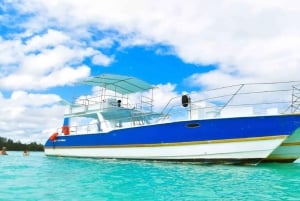 Santo Domingo: Isla Saona Day Trip with Lunch & Catamaran