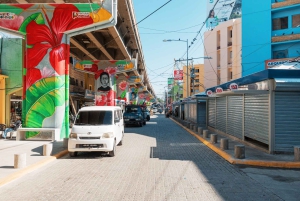 Santo Domingo: Los Mina, der Flohmarkt, Juan Dolio & Karaoke-Tour