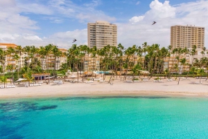 Santo Domingo: Los Mina, der Flohmarkt, Juan Dolio & Karaoke-Tour