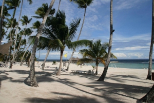 Santo Domingo: Los Mina, der Flohmarkt, Juan Dolio & Karaoke-Tour