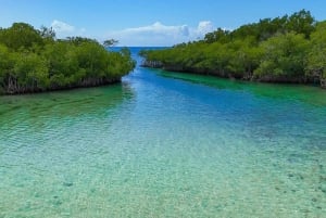 Santo Domingo: paddleboarden, Los Tres Ojos, strand en lunch