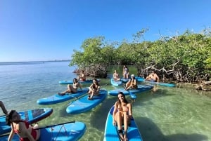 Santo Domingo: paddleboarden, Los Tres Ojos, strand en lunch