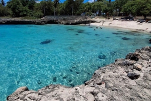 Santo Domingo: Paddle Boarding, Los Tres Ojos, Beach & Lunch