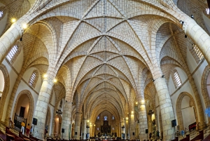 Santo Domingo: Private City Tour walking