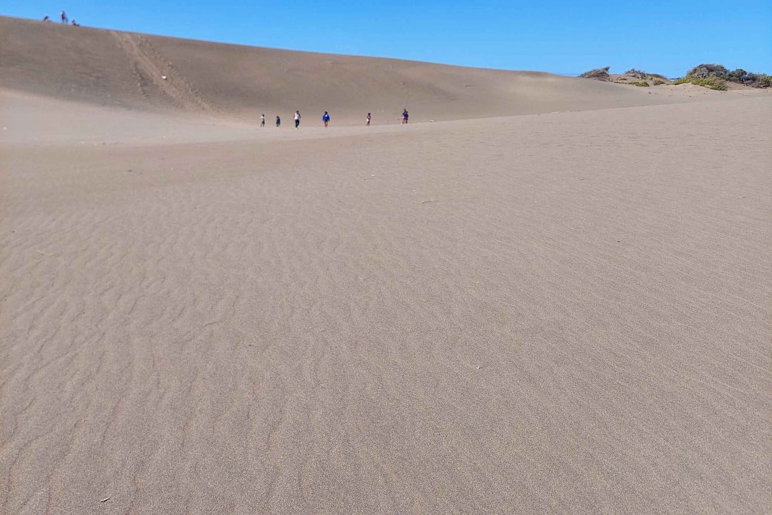 Santo Domingo: sandboarding en el desierto de Salinas y snorkel