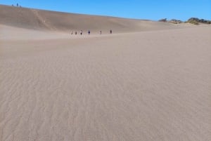 Santo Domingo: sandboarding en el desierto de Salinas y snorkel