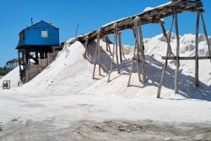 Santo Domingo: sandboarding en el desierto de Salinas y snorkel