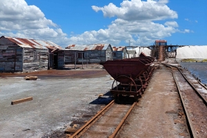 Santo Domingo: sandboarding en el desierto de Salinas y snorkel