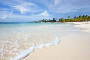 Santo Domingo: Saona Island Day Trip with Lunch and Drinks