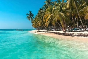 Santo Domingo: Saona Island Day Trip with Lunch and Drinks