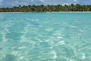 Santo Domingo: excursión de un día a la isla Saona con almuerzo y bebidas