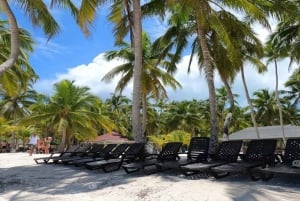 Santo Domingo: excursión de un día a la isla Saona con almuerzo y bebidas