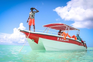 Santo Domingo: Isla Saona tour de día completo todo incluido