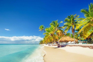 Santo Domingo: Saona Island heldagstur med all-inclusive