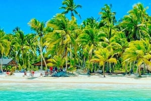 Santo Domingo : Isla Saona VIP FullDay Tours Privado Almuerzo & OpenBar