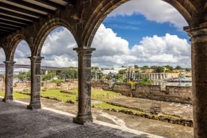 Santo Domingo Sightseeing Tour with Lunch