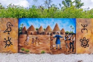 Santo Domingo: Social and Political Walking Tour