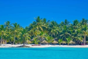 Santo Domingo till Saona: ett tropiskt äventyr