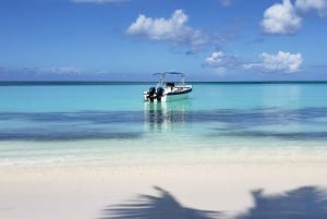 Santo Domingo till Saona: ett tropiskt äventyr