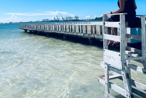 Лучшее в Санто-Доминго: 3 глаза, маяк, пляж и обед