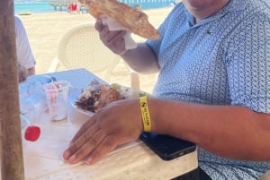 Santo Domingo Top: Los Tres Ojos, fyr, strand och lunch