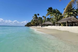 Santo Domingo: Excursión en Catamarán por la Isla Saona con Almuerzo y Bar