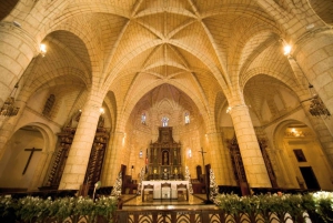 Santo Domingo: Tour por Tres Ojos, Faro a Colón y Mamajuana