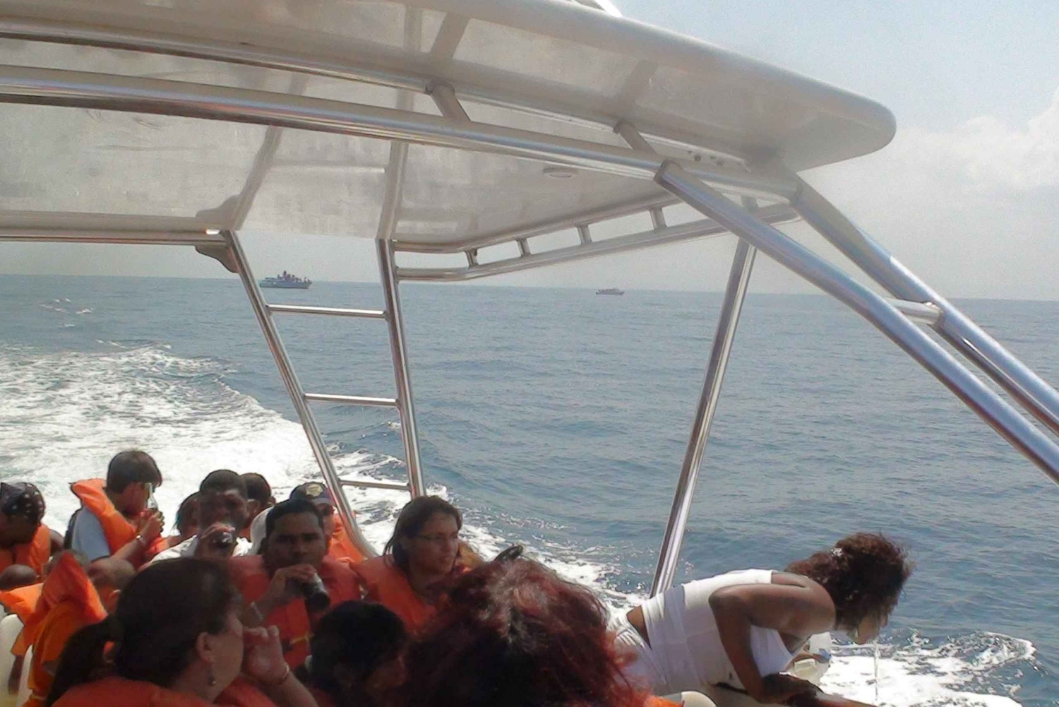 Santo Domingo: Osservazione delle balene e Isola di Barcadi Giornata intera