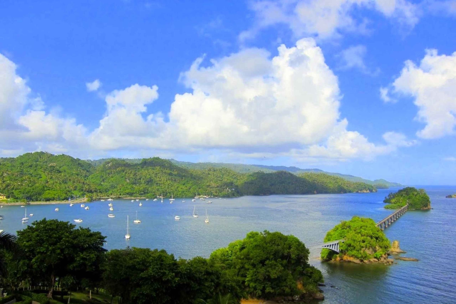 Santo Domingo: Osservazione delle balene e Isola di Barcadi Giornata intera