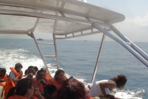 Santo Domingo: Osservazione delle balene e Isola di Barcadi Giornata intera