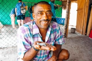 Punta Cana: Saona Crusoe VIP