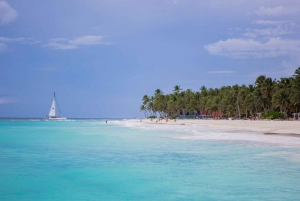 From Punta Cana: Saona Island Private Guided Catamaran Tour