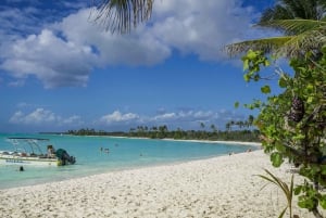 Isola di Saona: tour privato di 6 ore con snorkeling