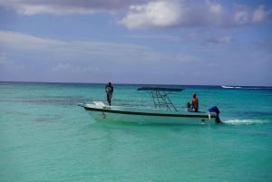 Isola di Saona: tour privato di 6 ore con snorkeling