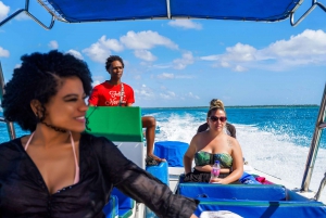 Isla Saona: tour privado de 6 horas con snorkel