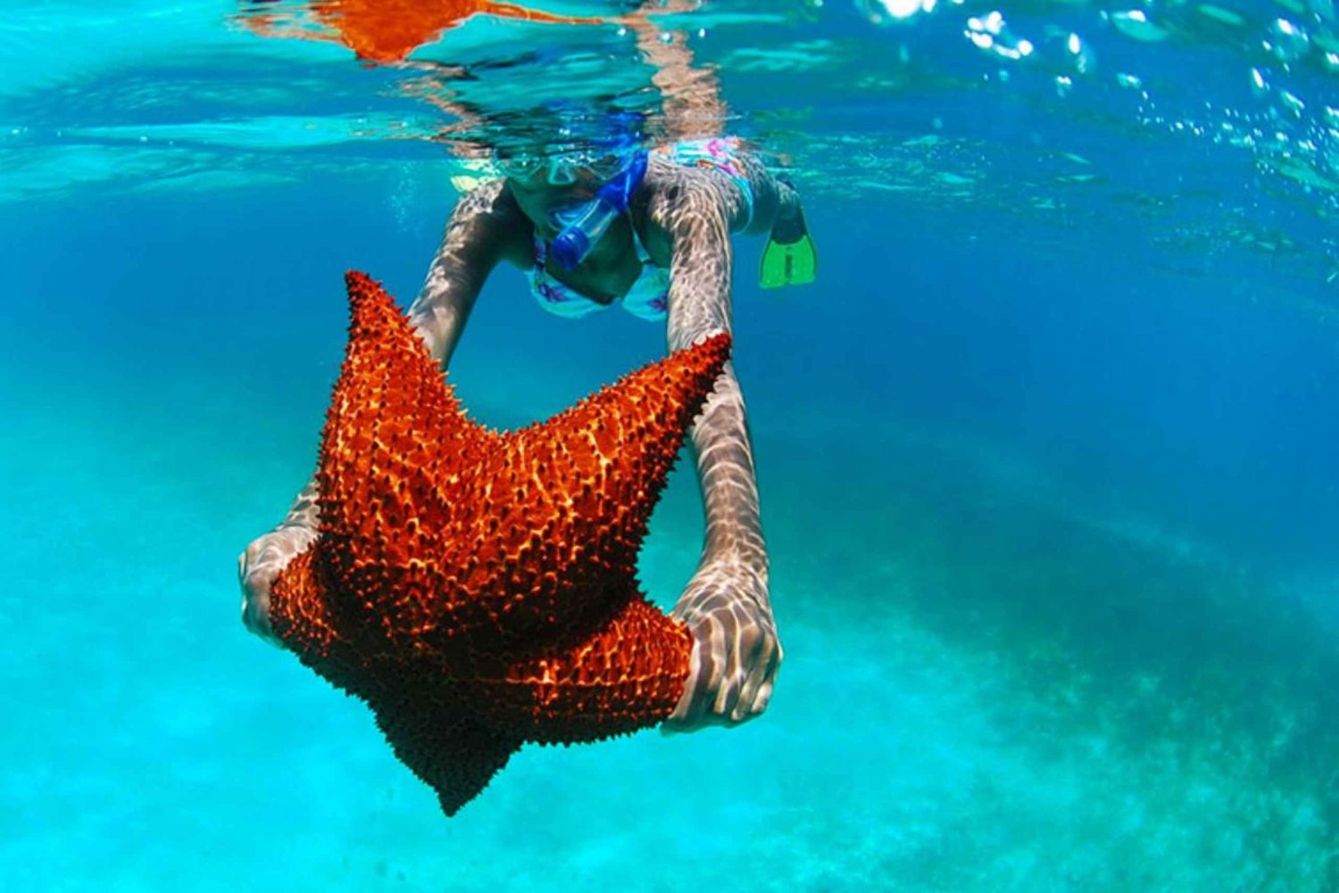 Saona Island Adventure - Kristallklares Wasser und weißer Sand erwarten dich!