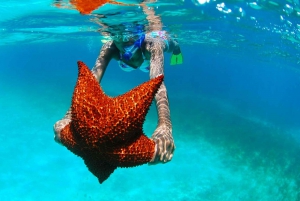 Saona Island Adventure - Kristallklares Wasser und weißer Sand erwarten dich!