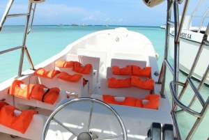 Saona Island Adventure – Crystal Waters & White Sands Await!