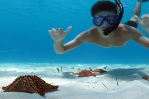 Avventura sull'isola di Saona - Acque cristalline e sabbie bianche ti aspettano!