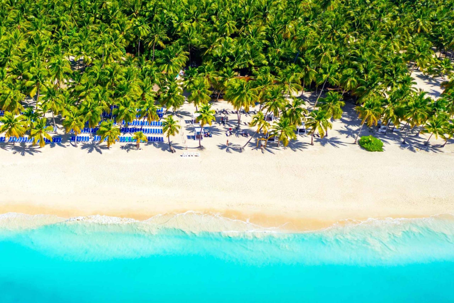 Saona Island All Inclusive Tour