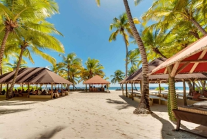 Excursión a la Isla Saona Todo Incluido