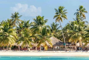 Excursión a la Isla Saona Todo Incluido