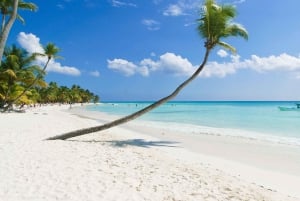 Excursión a la Isla Saona Todo Incluido