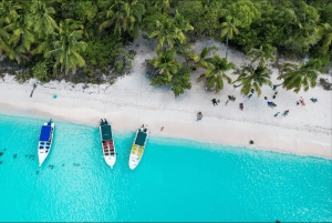 Saona Island All Inclusive Tour